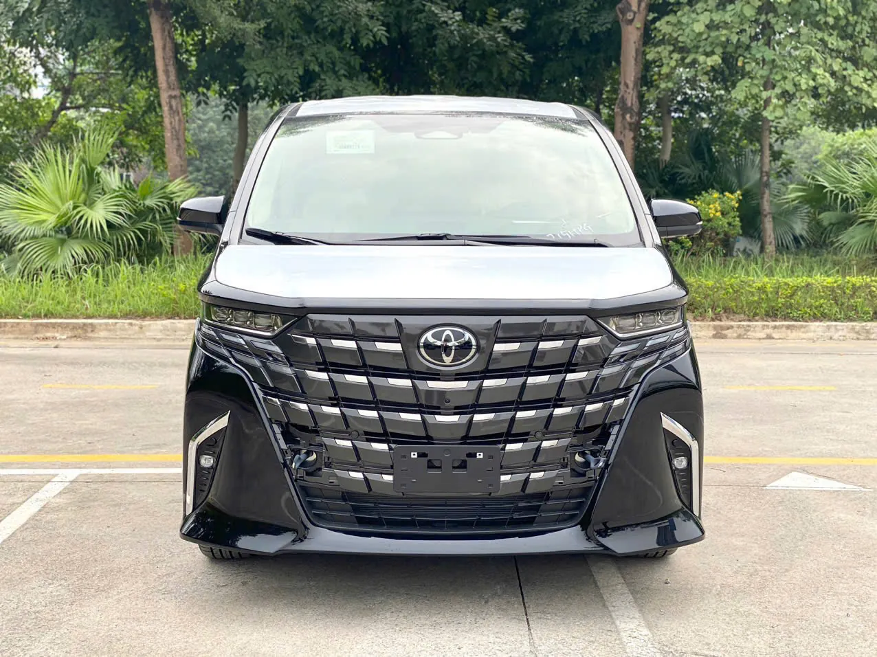 Toyota Alphard 越南企业长期租车